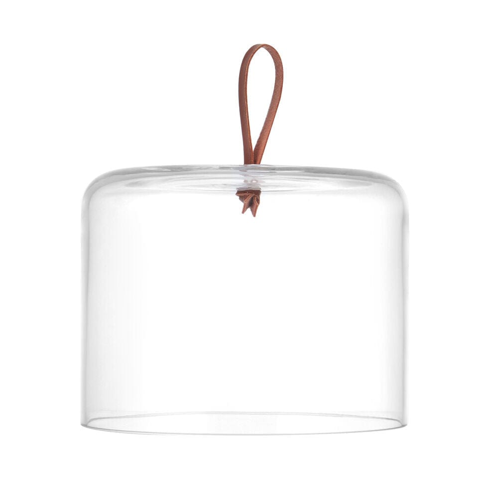 Glenwood Oval Serve Board with Glass Dome Cloche