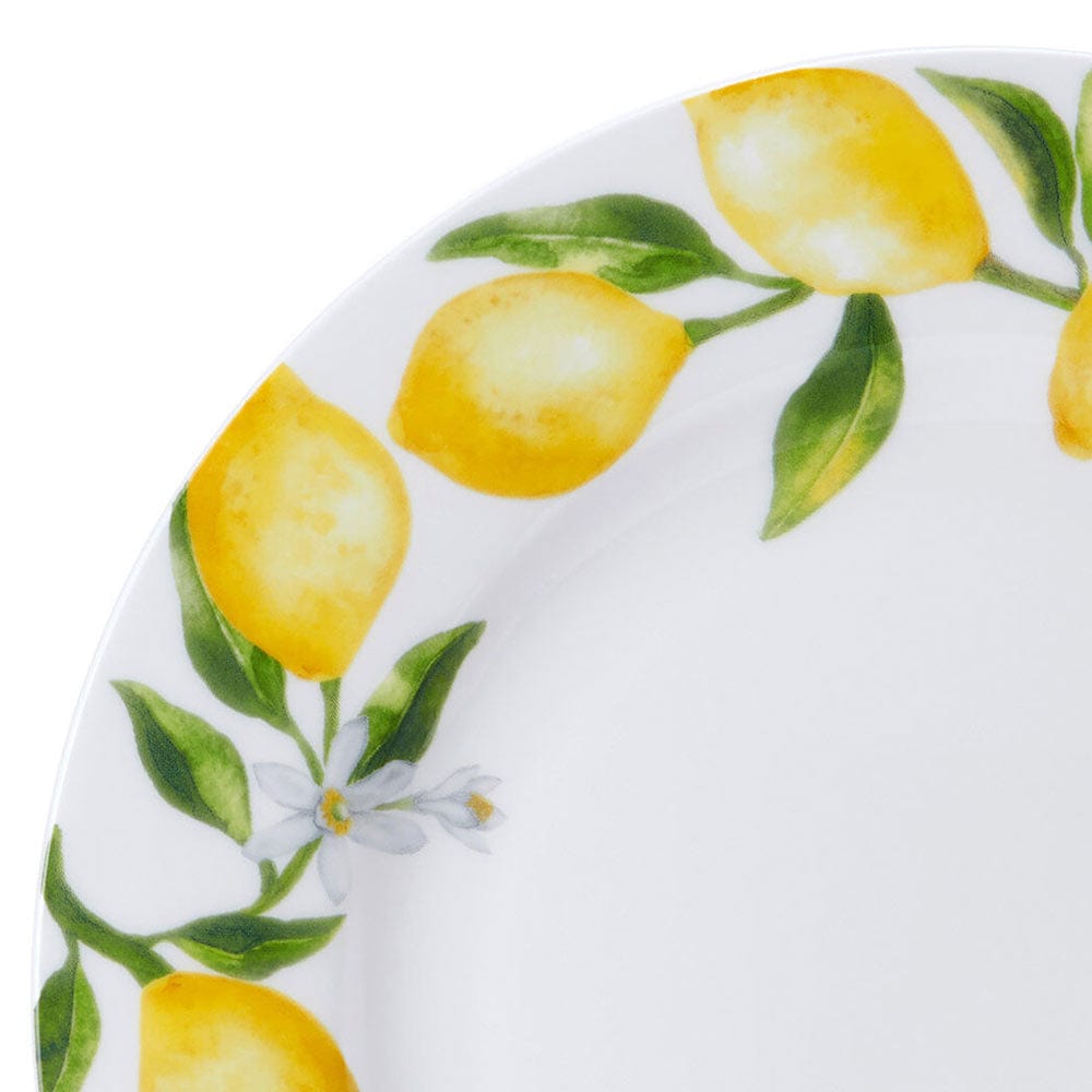 Lemons 40 Piece Dinnerware Set, Service for 8