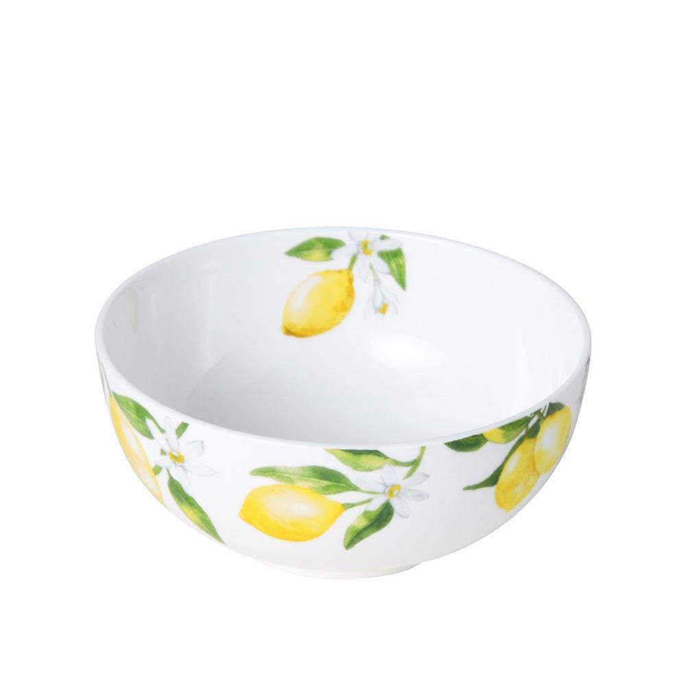 Lemons 40 Piece Dinnerware Set, Service for 8